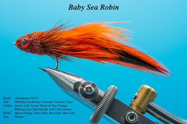 Baby Sea Robin tied by @flies_for_fish Hook: Gamakatsu SC15 Tail: Whiting Farms Freshwater Streamer Collar: Left, Right, and Top Whiting Farms Soft Hackle with Chickabou Head: Burnt Orange Deer Hair, Red Deer Hair Eye: Red with Black Pupil